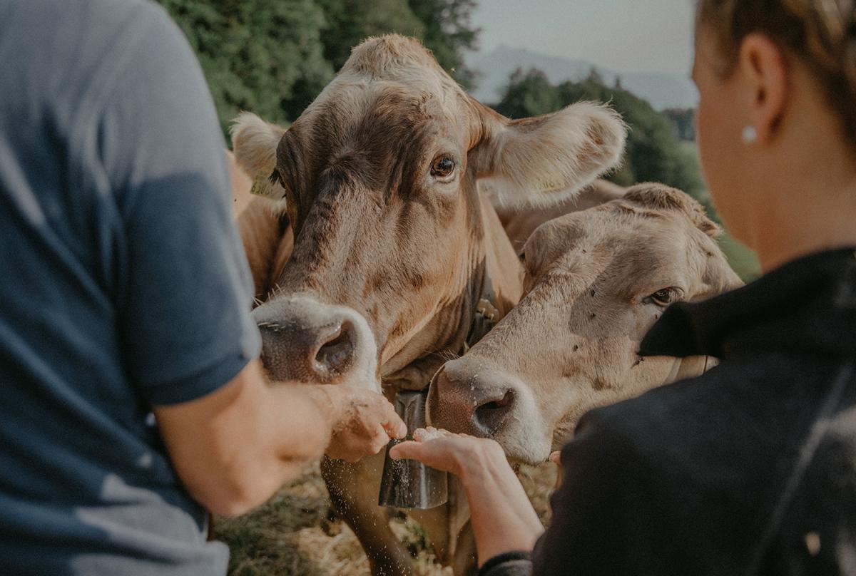 Tierhaltung im Einklang mit der Natur